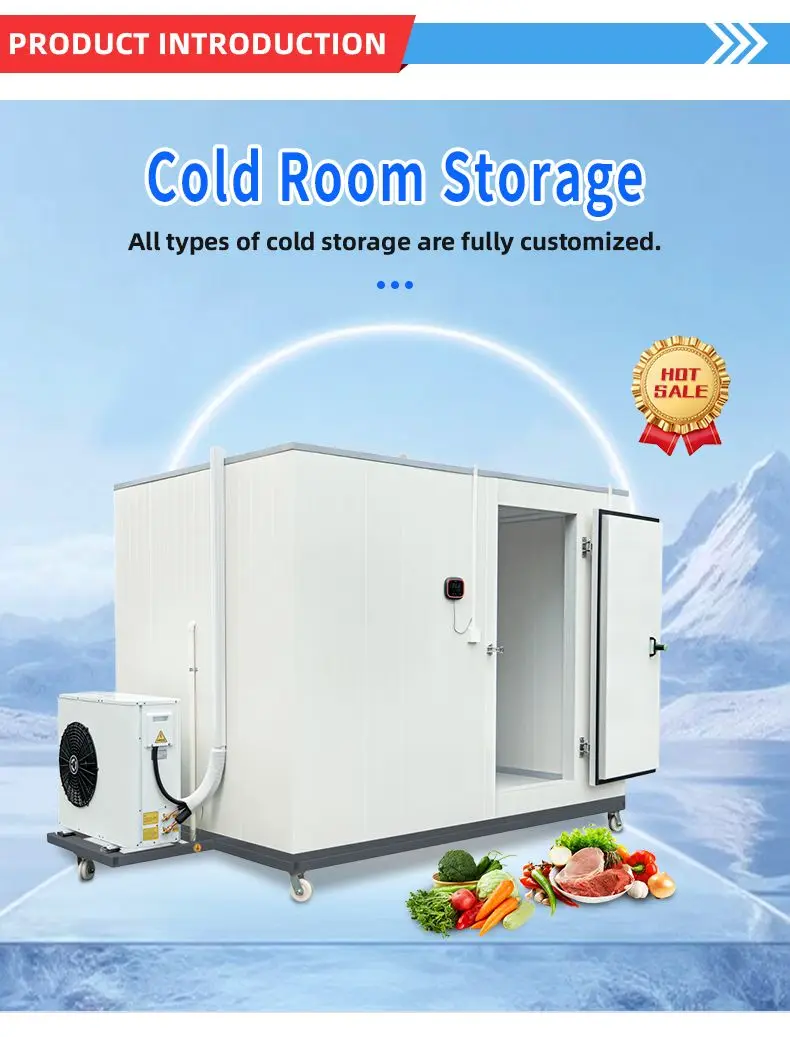 Refrigerated Cold Storage Room (+2°C to +8°C) for Fresh Fruits and Vegetables