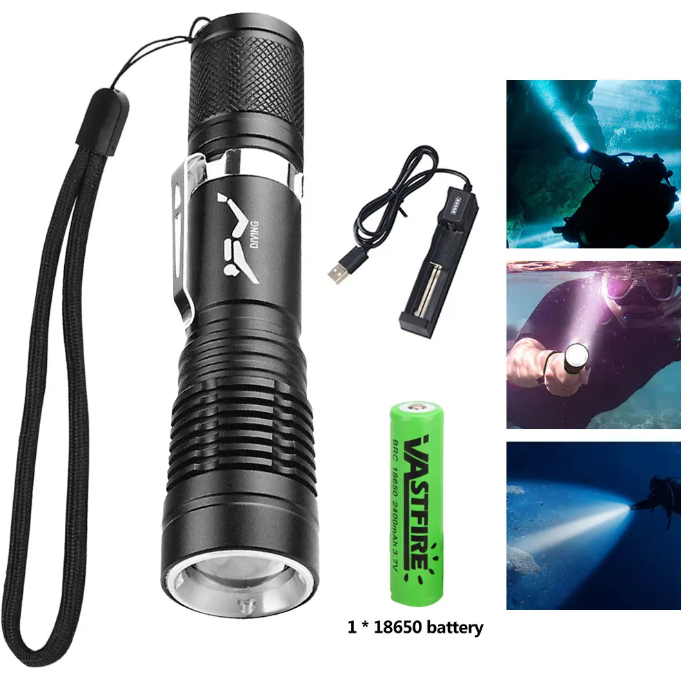 With Battery Charger