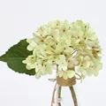 White A