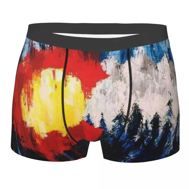 Colorado Rocky Mountains National Flag Underpants Breathable Panties