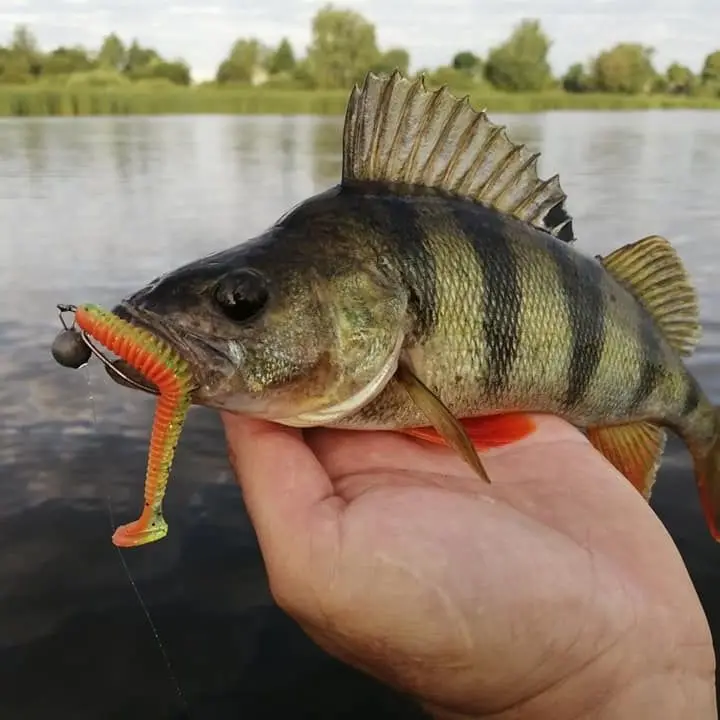KESFISHING ?? ?Eu I? ?U?a ?ҡ? u??O? ?, u?? ?I? ??O, ?U?I? ou ?, ?? U, 4 ?
