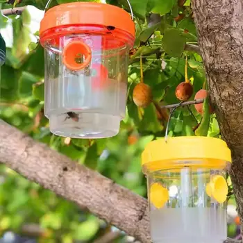 Lumières solaires de piège à guêpes, équation non toxique sûre, Hornet, cour de jardin, fournitures anti-mouches, extérieur, nouveau, 62 1