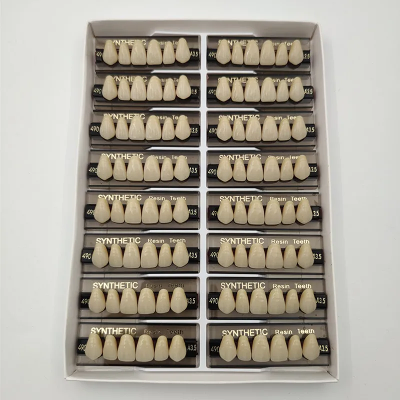 50 Boxen Künstliche Prothese Zähne Dental Acryl Harz Zähne für Dental Labor Dental Techniker Dental Technologie