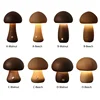 Cute Mushroom LED Night Light Wooden Bedside Table Lamp with Touch Switch Room Decoration High-level Environmental Mushroom Lamp 1