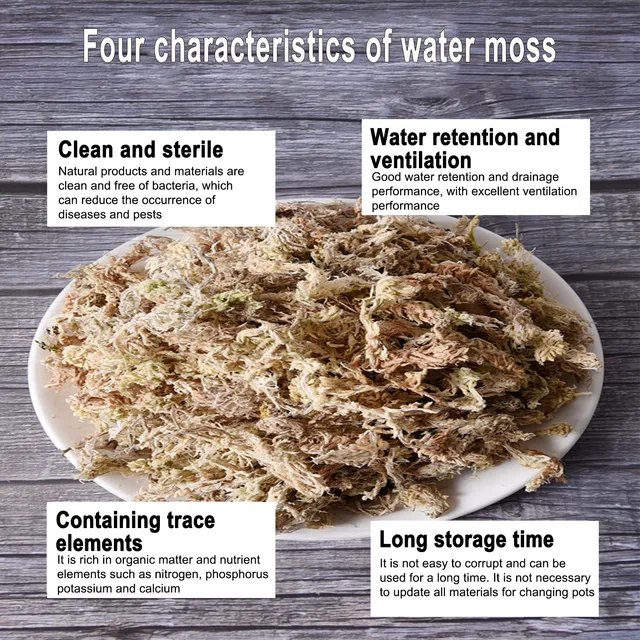 Sphagnum Moha Növényekhez Cserepes Keverék Talaj Növények Virágok Tőzeg Pillangó Orchidea Virágpot Dekoráció - Image 5