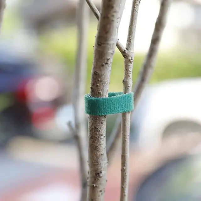 Növénykötegek Nylon Növényi Kötés Állítható Tartó Újrahasznosítható Szalagkapás Otthoni Kerti Kiegészítők Kert - Image 4