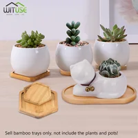 14 Style Round Square Flower Pots Planter Bamboo Tray Wood Holder Home Decor Gardening Supply Anti-Fade Simple Elegant Design 3