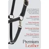 Fremont Soft Leather Horse Halter for Everyday Use Genuine Leather Black Fully Adjustable with Brass Hardware Contrast Stitchin