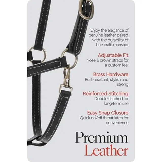 Fremont Soft Leather Horse Halter for Everyday Use Genuine Leather Black Fully Adjustable with Brass Hardware Contrast Stitchin