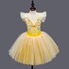 Children's Ballet Skirt, Girls' Dance Skirt, Sequin Dress, Children's Dance Skirt, Collective Program Performance Clothing 2