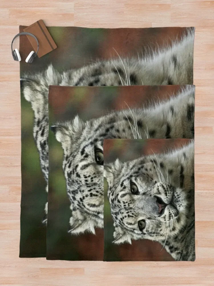 �����ĵ� 001 ������ ���, �ε巯�� ���� ���� ����, ������ �ܿ� �ڽ�����, �ִϸ��̼� ħ�� Ŀ�� ���