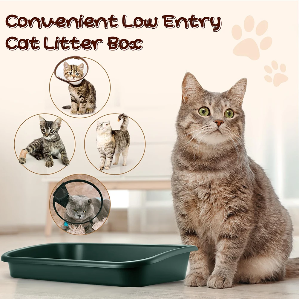 LowEntrySeniorCatLitterBoxLargeSizeLowEntryOpenTopPet