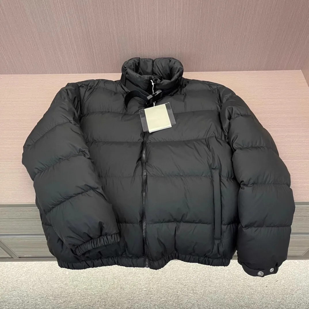 2025 Autumn and winter down jacket styling example