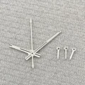 Sliver