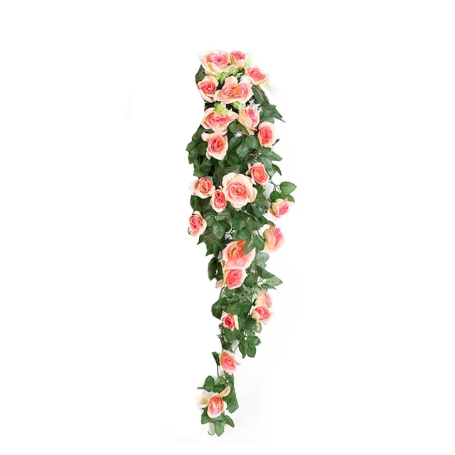 champagne flower
