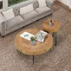 Farmhouse Round Coffee Table Set of 2,Cocktail Table Set,Modern Circle Natural Wood Finsh Side and End Table Sets Planar,Natural 2