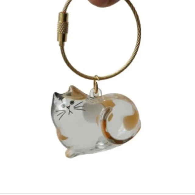 Clear Pet Hair Memorial Box Transparent Keepsake Container for Cat/Dog Fur DIY Display Case for Pet Hair 6