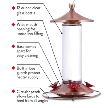 Elegant Copper Glass Hummingbird Feeder 12oz 4 Feeding Ports Wide Mouth Easy Clean Bee Guard Garden Decor 3