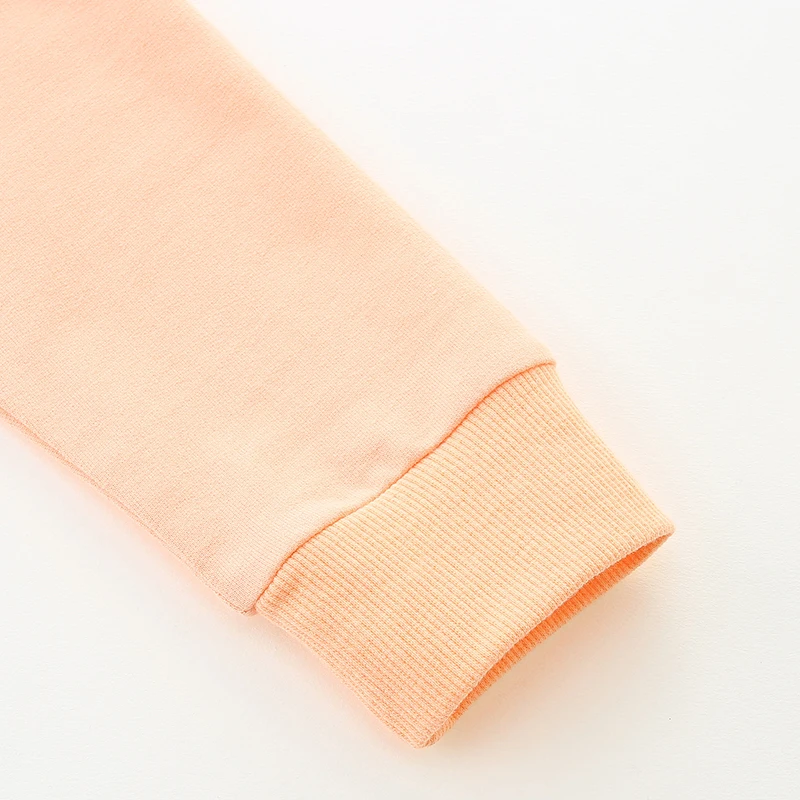 Baby Girls 2025 Autumn Spring Kids Clothes Children's Clothing Cartoon Christmas Gifts Sweatshirts Tops Cotton