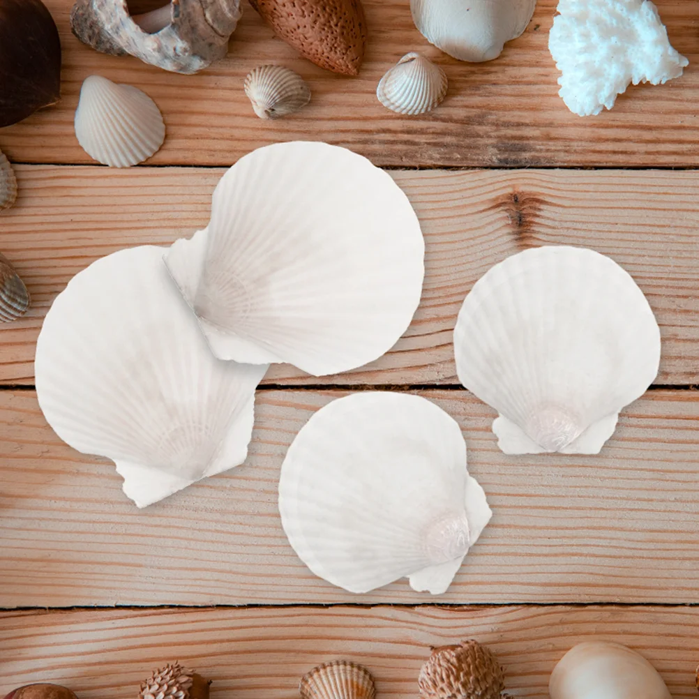 

16Pcs Large Scallop Shells Charms Crafts Making Natural Seashells Embellishment