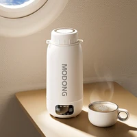 Home Car Portable Electric Kettle 1.0L Electric Heating Cup Multifunction Boiled Water Pot Outdoors Travel Teapot 12V 24V 220V 2