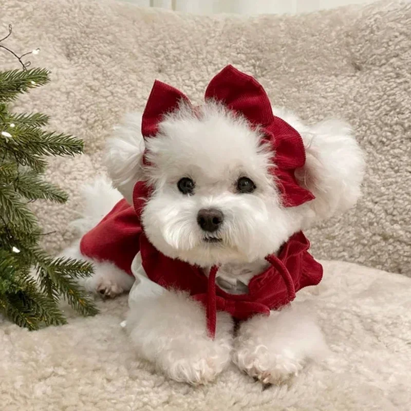 dog christmas dresses Mrs Claus Outfit, Girl Dog Cristmas Set, Mrs Claus Pet Costume. Christmas Puppy Mrs Claus Outfit such as theme party Mrs Claus Dog Christmas Outfit