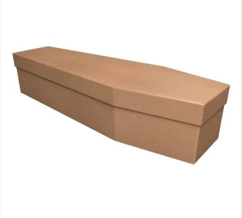 at Low Price Cardboard Casket Premium Cardboard Coffin for Adult Funeral Burial or Cremation