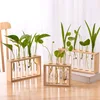 Simple Nordic Test Tube Glass Vase Decoration Creative Wooden Frame Hydroponic Plant Container Home Decoration 1