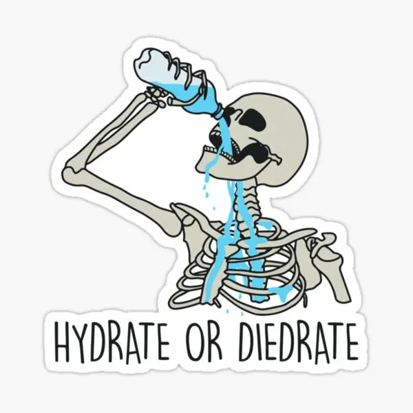 Hydrate Or Diedrate 5PCS Stickers for Background Anime Print Room Laptop Bumper Stickers Home Kid Window Art Car Decorations