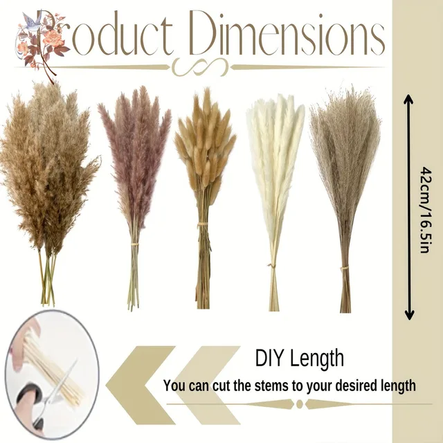 100Pcs Natural Fluffy Pampas Dried Flowers Bouquet