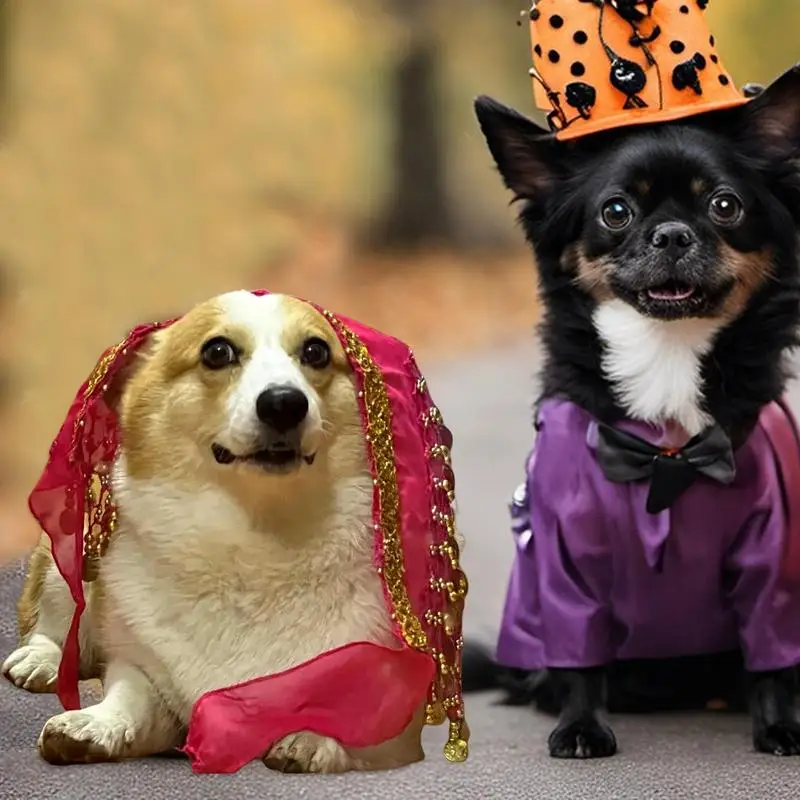 Dance Skirt For Dogs Puppy Shaking Hip Dance Hip Scarf Puppy Belly Wrap Belt With Dangling Gold Coin For Music