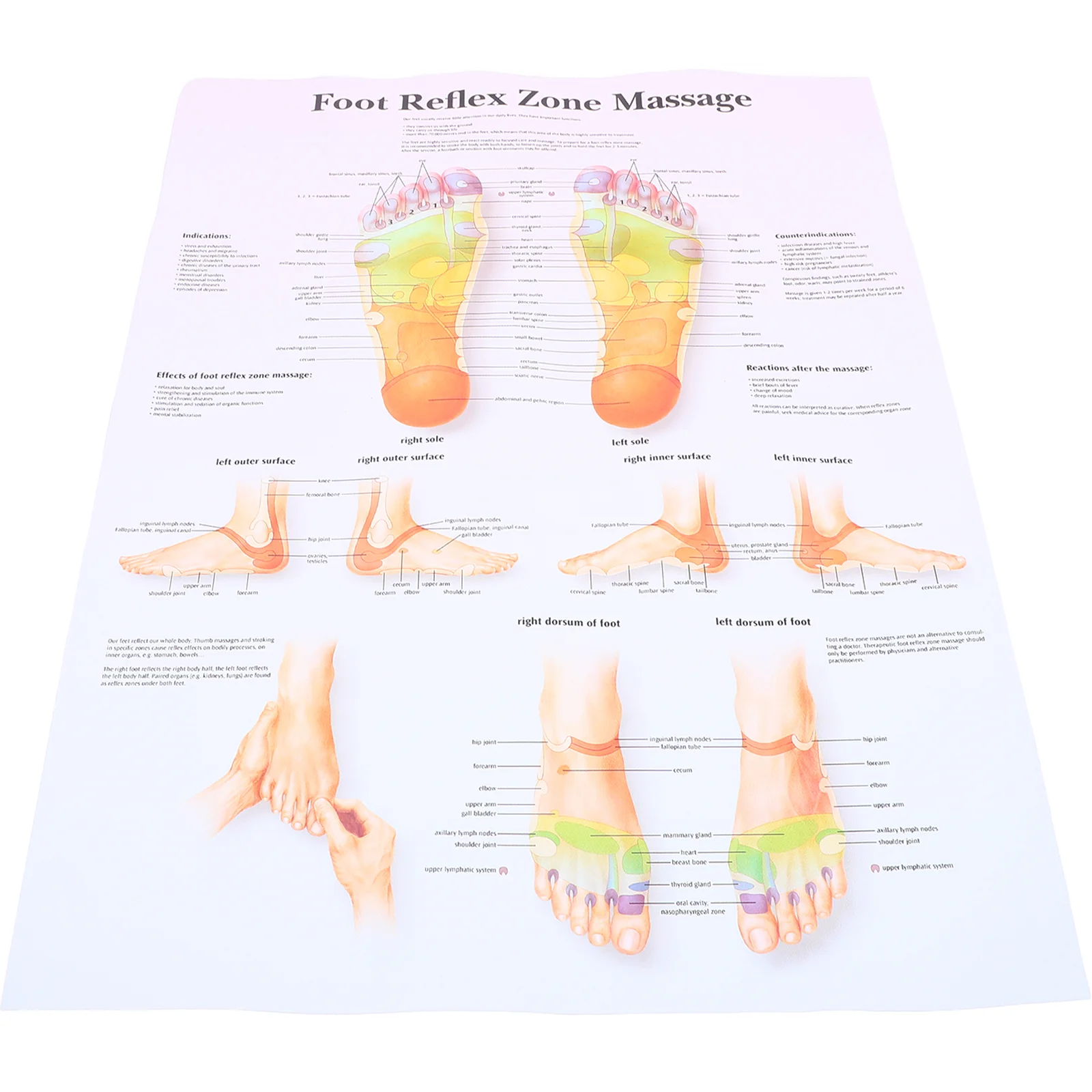 

Foot Reflexology Poster Posters Wall Office Decorations Massage Chart for Professional Canvas Knowledge