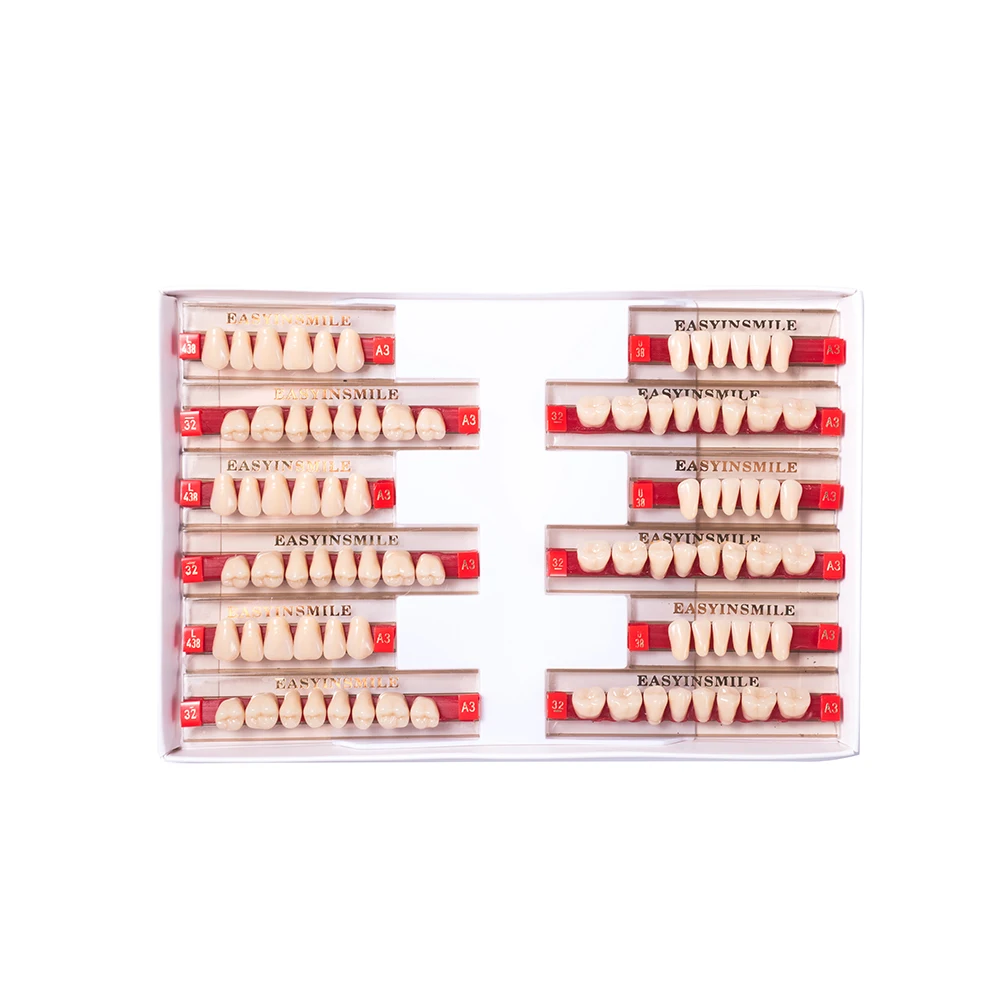 16/12 Sets/ Box Dental Denture Teeth Upper Anterior Lower Posterior Teeth acrylic A2 A3 2 layers Dental Education Model 5
