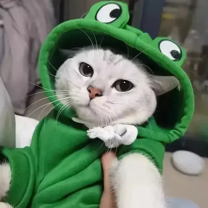 Autumn Winter Cat Hoodies Small Cats Dogs Cute Frog Shaped French Bulldog Puppy Soft Warm Fleece Costume Chihuahua Sweatshirts pet clothes