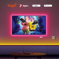 ZigBee W/WW/RGB LED Strip Smart Tuya Alexa Lights USB 5V Dimmable COB Neon Tape With LED Controller Home Room Bedroom Decoration - Image 6