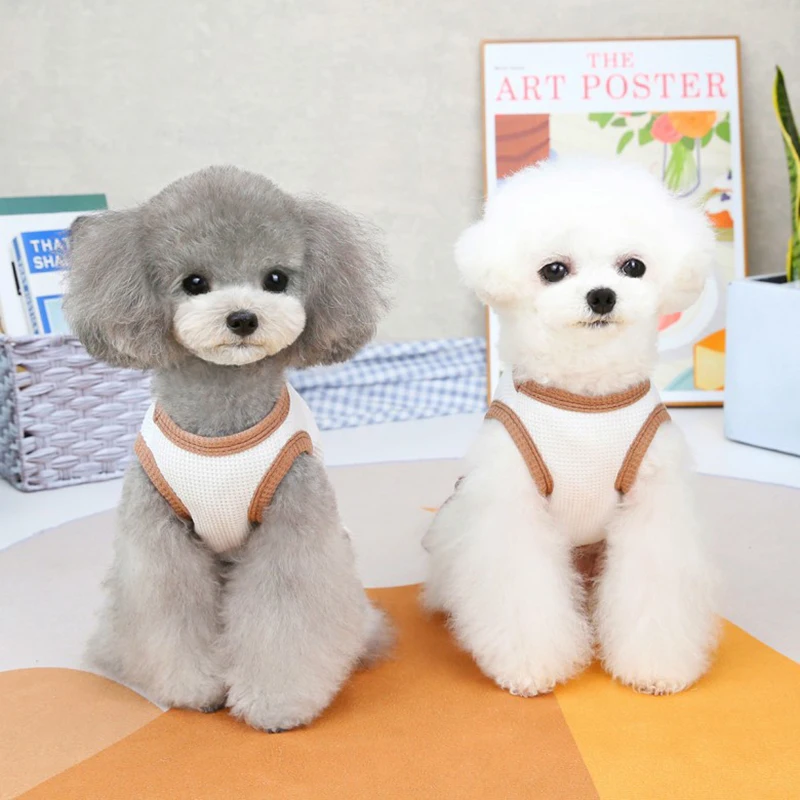 Cute Style Bear Embroidered Dress For Dogs