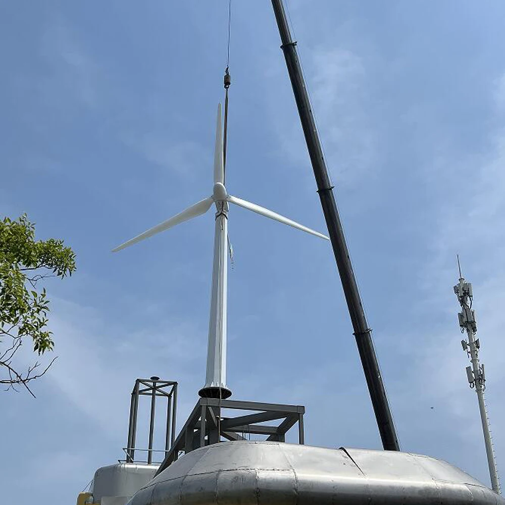 Wind Turbine Generator 100KW 50KW 30KW 96V 220V 380V 3 blades With MPPT Controller System Portable Windmills Renewable Energy