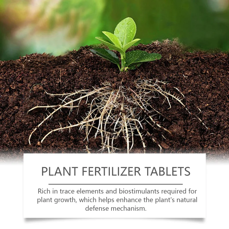 Fertilizzante Organico A Rilascio Lento In Compresse Multiuso – 2 Flaconi Per Piante Da Interno Ed Esterno, Effetto Fino A 6 Mesi