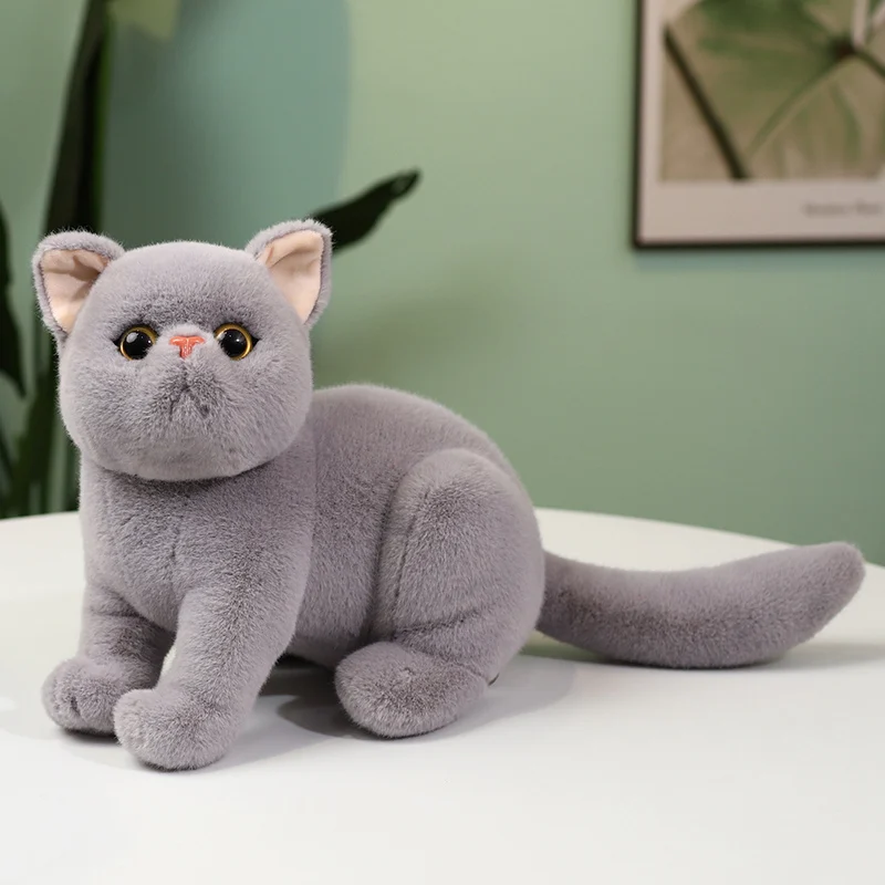25CM grey