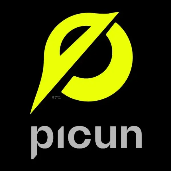 Picun Store