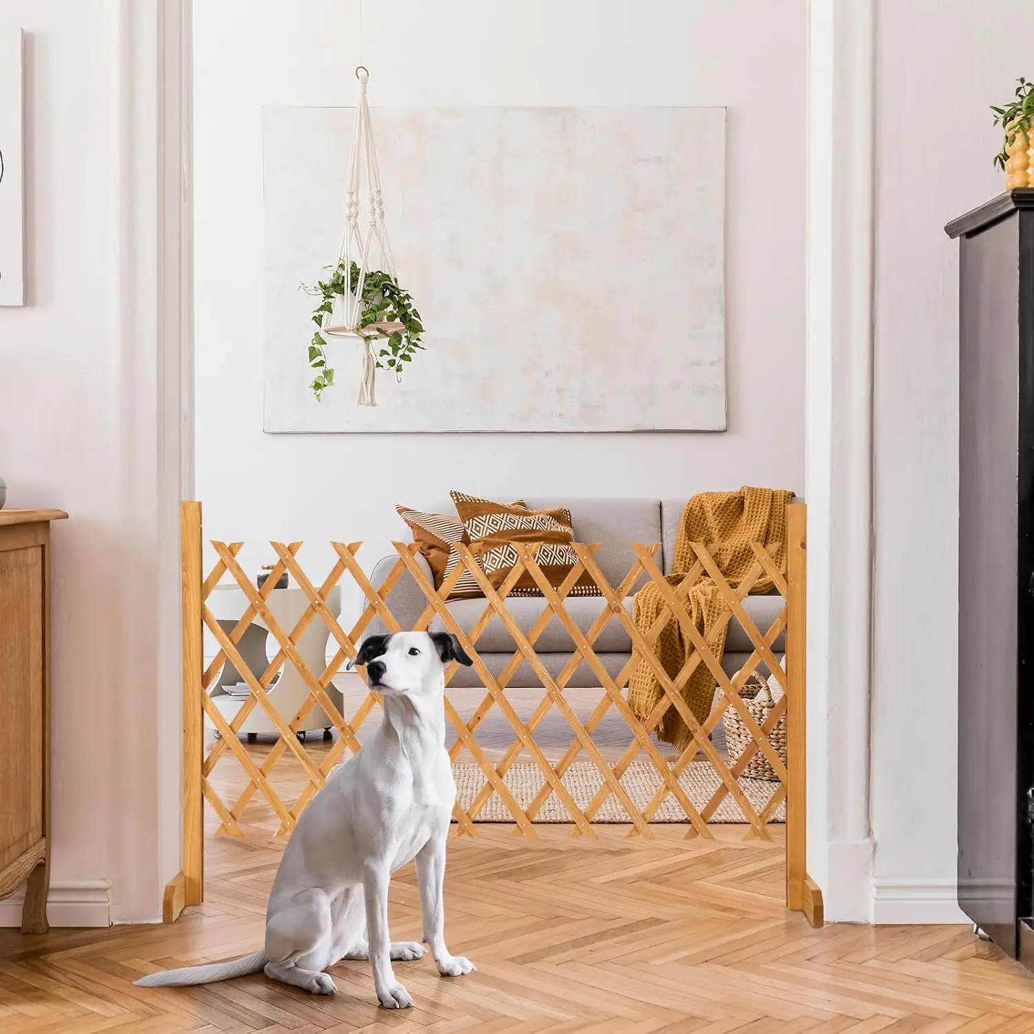 2 Packs Extendable Garden Fence, 27.55 Inch Tall Freestanding Accordion Fence Solid Wood Retractable Trellis Instant Fence Pet