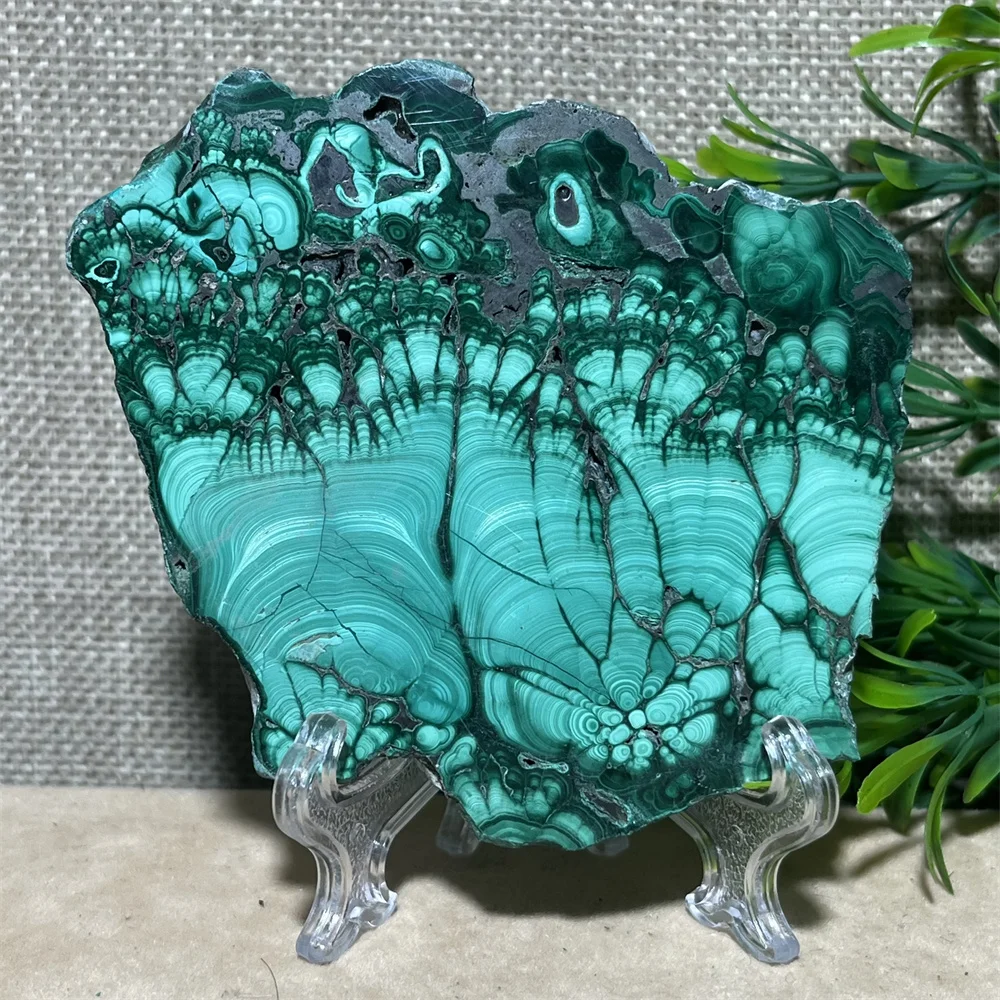 Natural Green Malachite Slab Slice Stone Reiki Flower Beauty Minerals Healing Spiritual Stripe Home Decoration Quartz