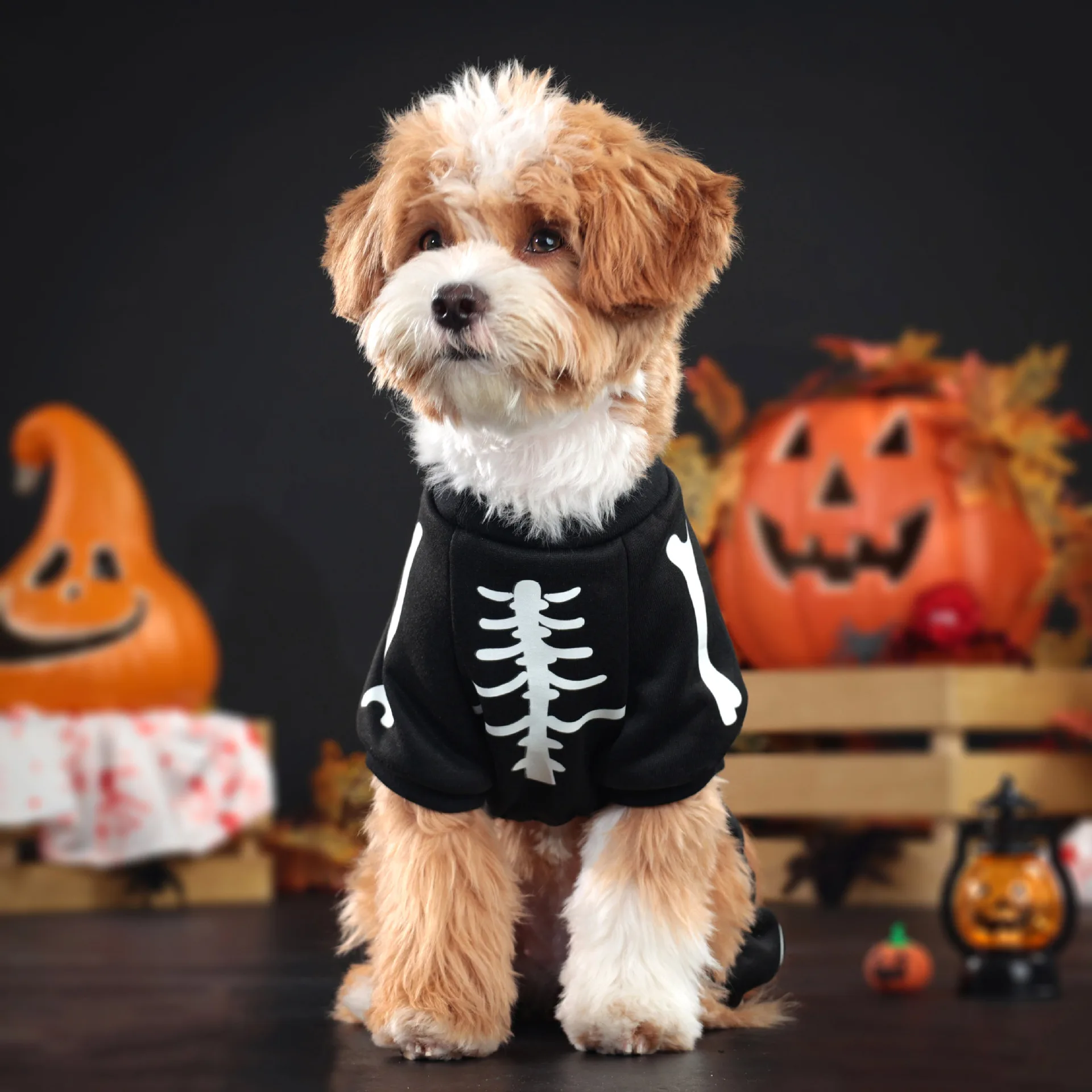 Combinaisons Fluorescentes pour Petits Chiens - Os de Crâne - Sweat à Quatre Pattes - 2025 - Vêtement et accessoires pour chiens - Doglovedesign