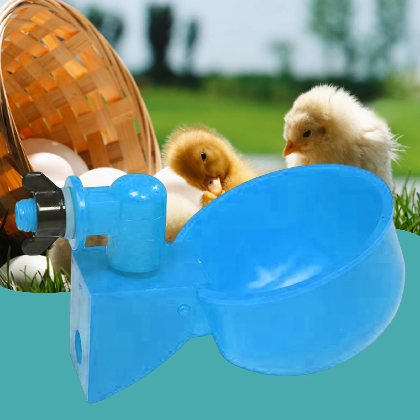 Oeufs ais de la ferme plastique pour animaux de compagnie évider