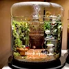 Micro Landscape Glass Bottles With Dew Collection Cover Glass Vase Landscaping Succulent Moss Bansai Landscape Glass Terrarium 5