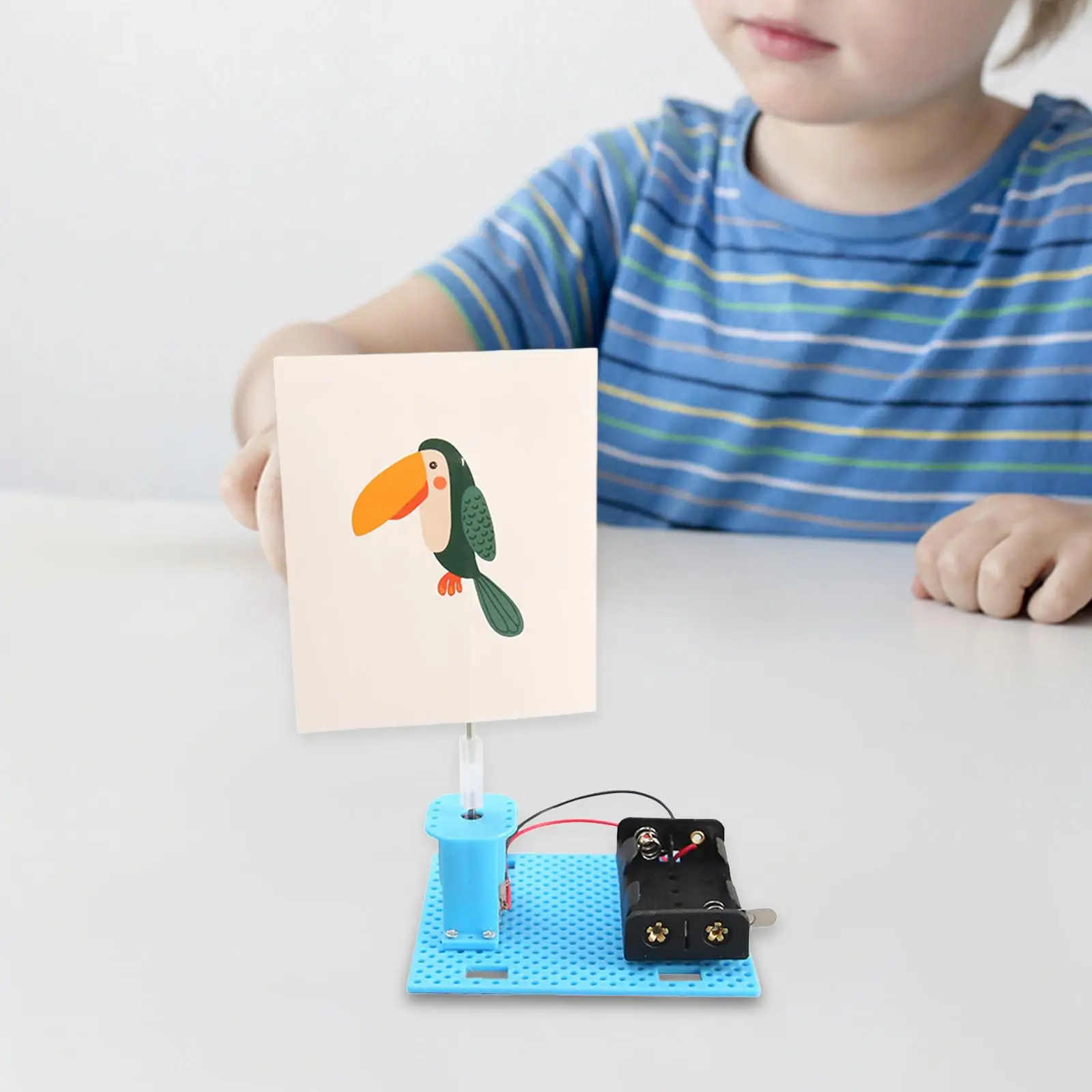 

DIY научные эксперименты электрическая клетка игра для птиц обучающая игрушка DIY Сборная модель для спальни домашние принадлежности подарок для учебы