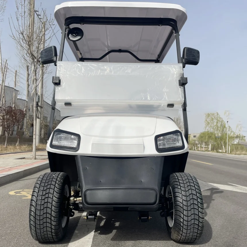 Electric Golf Cart Hot Sale 2 Seat Club VIP Modern Fashion Adult Electric Car Free Color Golf Scooter