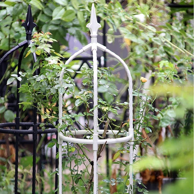 Hegymászó Rattan Keret Növény Cserepes Tartó Fém Vas Virág Növényi Dekoratív Rácsos - Image 6