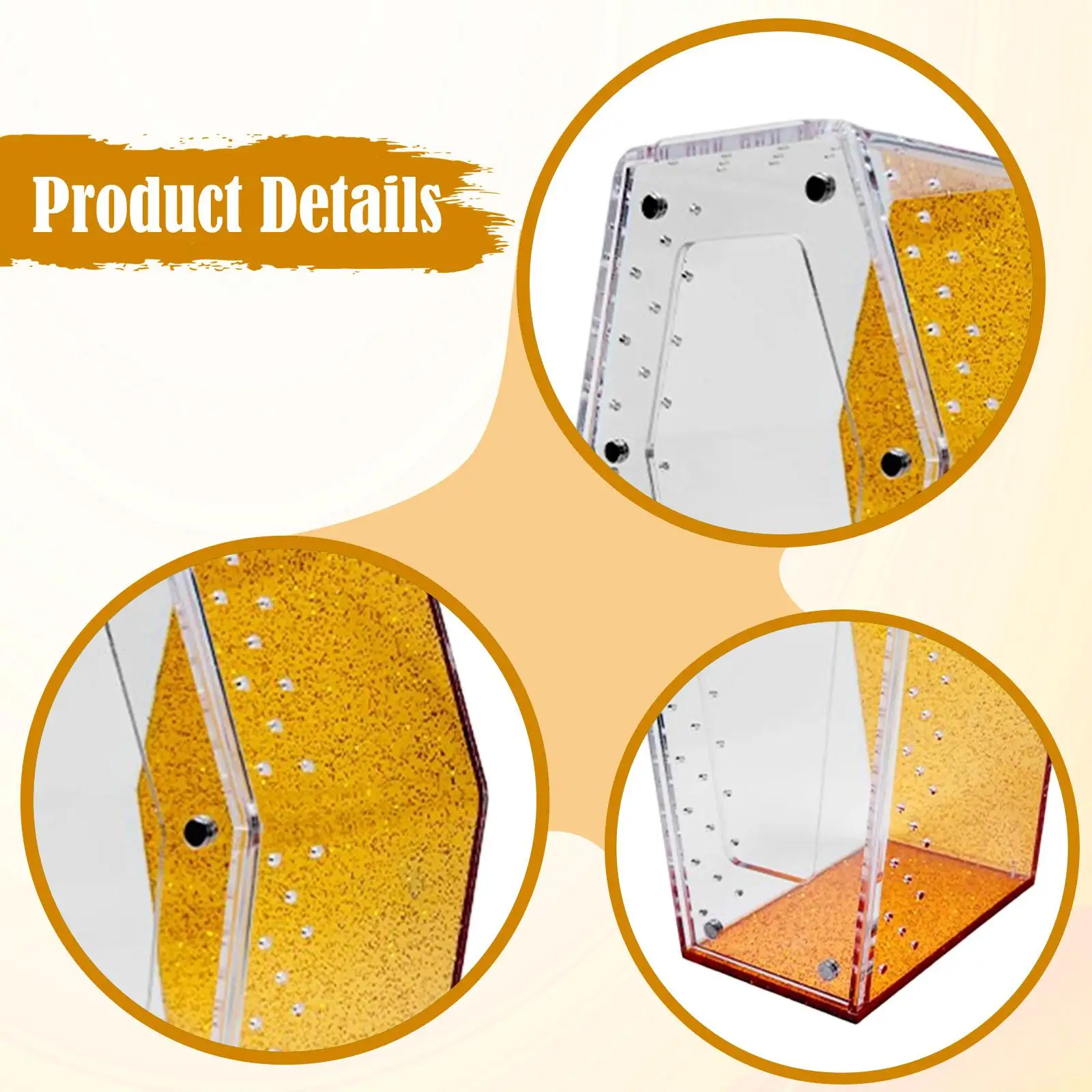 Small Acrylic Terrarium Accessories Spider Cage Coffin Shaped Tank for Reptile Amphibian Vivarium Display