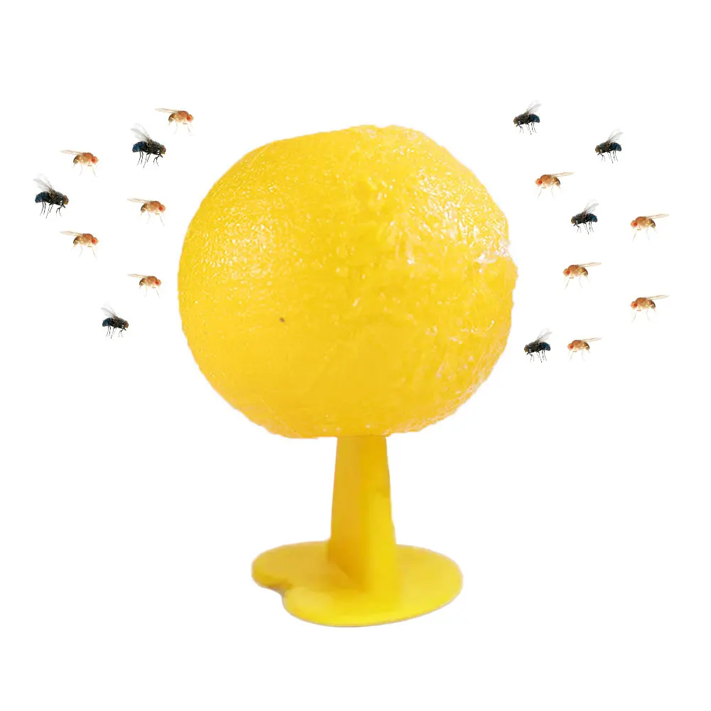 Piège à mouches des fruits réutilisable, Monténégro de mouches des fruits, attrape-moustique, piège à insectes dans le verger, lutte antiparasitaire
